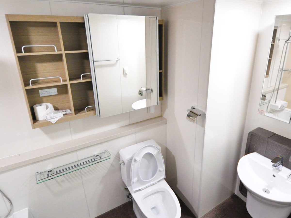 WC blanc posé contre le mur d'une petite salle d'eau
